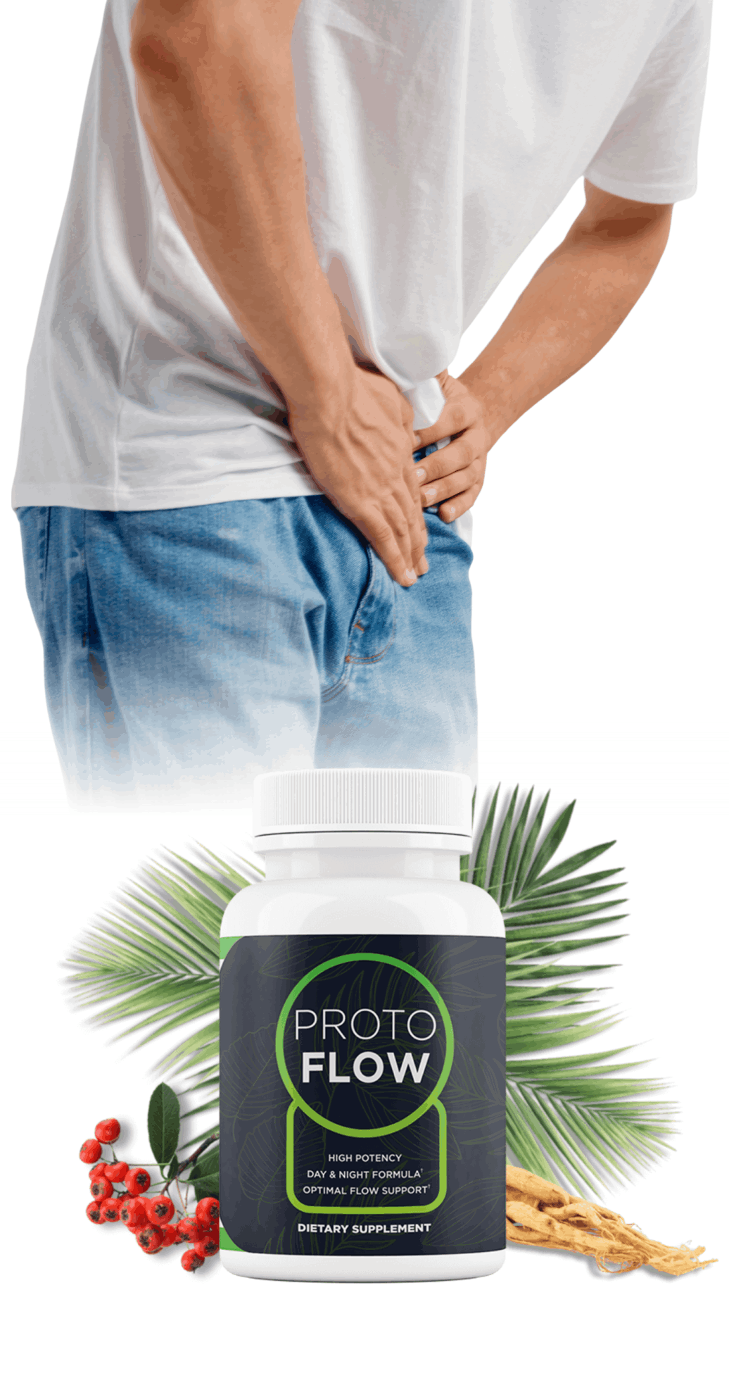 Protoflow Supplement